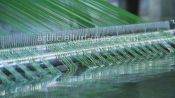 China Factory - All Victory Grass (Guangzhou) Co., Ltd