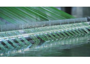 China Factory - All Victory Grass (Guangzhou) Co., Ltd