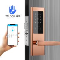 China Stainless Steel Smart Card Password Apartment Smart Door Lock with TTlock app factory