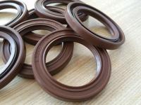 China TC / SC Type FKM/NBR Oil Seals Silicone Rubber Washers with High Quality OEM &amp; ODM factory
