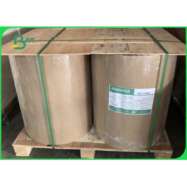 Quality 270gsm Clay Coated Kraft Back ( CCK ) 900mm Roll Tear Resistance for sale