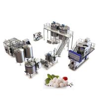 China Aseptic Complete High Moisture Soft  Cheese Production Line factory