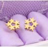 China Customized Earring Surgical Stainless Steel Titanium Silver Gold Black Plated Star Stud Earrings factory