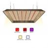 China 320w UV IR Separately Quantum Horticulture Led Grow Lights factory