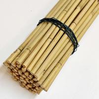 China Natural Bamboo Plant Support Stakes for Indoor Plants, Bamboo Sticks Poles Garden Bamboo Stake 40cm 595cm factory
