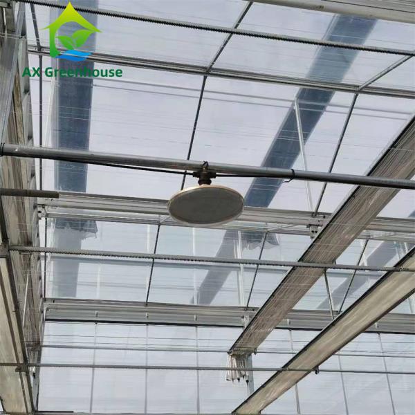 Quality OEM ODM 4mm 5mm Glass Tomato Farming Greenhouse With Cooling System for sale