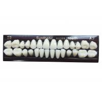 Quality Material Dental Acrylic Resin Teeth Tooth Colored Acrylic Resin Teeth For for sale