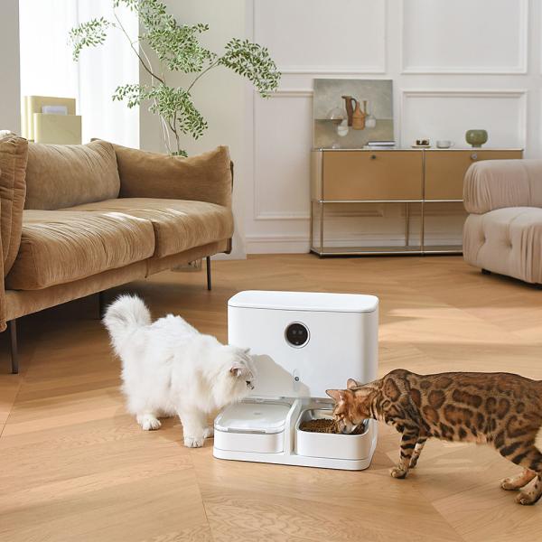Quality Automatic Feeding 6L Pet Feeder And Water Dispenser LCD Display For Cats / Dogs for sale