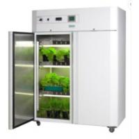 China Digital Display Artificial Plant Growth Chamber Box Climate Incubator For Seed Germination factory