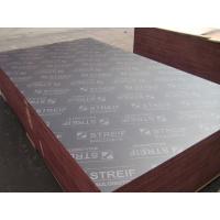 China Formwork Concrete Shuttering Plywood Formwork Plywood Concrete Plywood with good price for sale