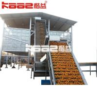 China Turnkey Project Automatic Juice Production Line Processing Machine With Mechanical factory