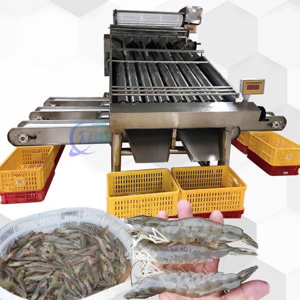 Quality 3P Multiscene Shrimp Grading Machine Automatic Multi Function for sale