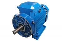 China IE1 3 Phase Induction Motor 400v 50Hz MS Aluminum Body Energy Saving High Efficiency factory