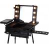 China High Performance Makeup Case With Mirror And Lights Fashionable Design factory
