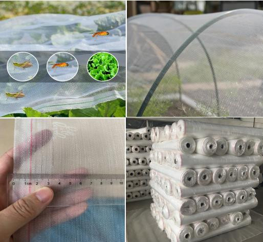 Quality White UV Treated Agriculture Insect Net 6M Plastic Anti Insect Netting for sale