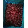 China HACCP IQF Frozen Sweet And Delicious Wild Frozen Fruit factory