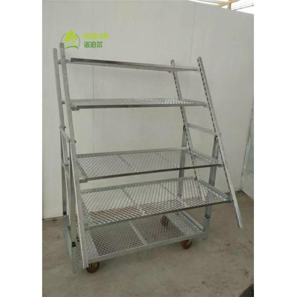 Quality ISO9001 Danish Container Dutch Plant And Flower Display Cart Trolleys for sale
