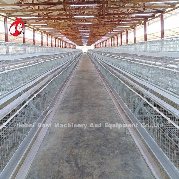 Quality A Type Poultry Battery Cage 120 Birds Chicken Laying Eggs Cage Africa Doris for sale