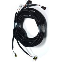 Quality Electric Vehicle Wire Harness for sale