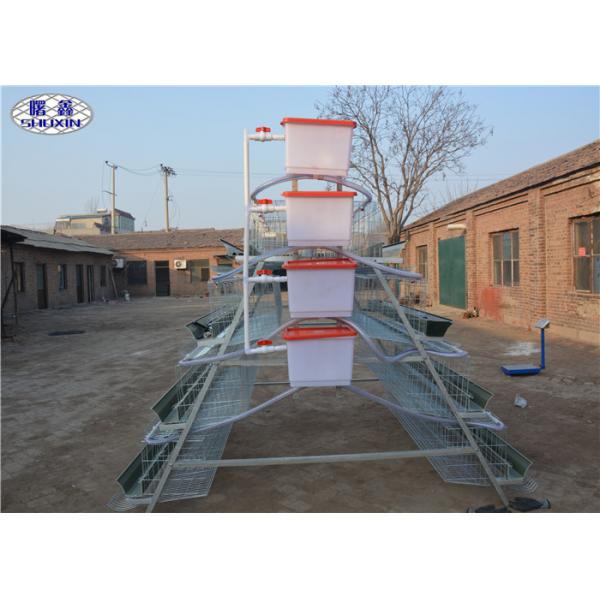 Quality Automatic Layer Chicken Cage Galvanized Feature A Type Design For Farm for sale