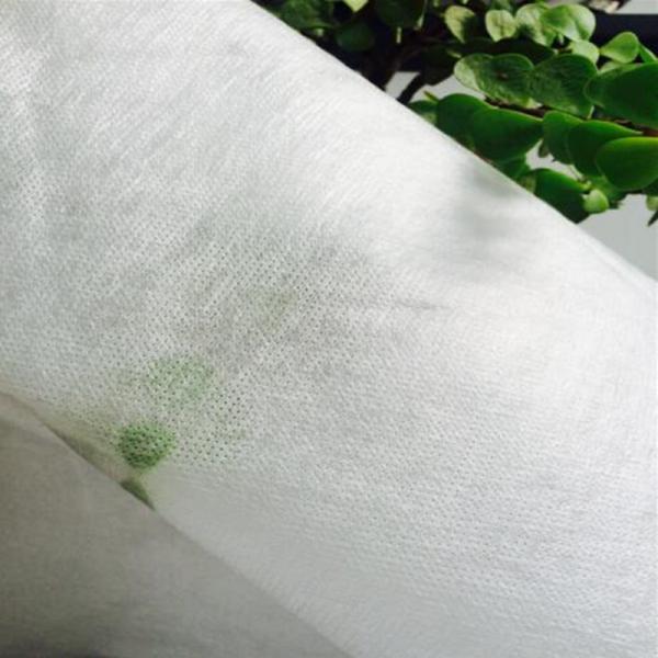 Quality Polyvinyl Alcohol Water Soluble Fabric Stabiliser For High Grade Embroidery for sale