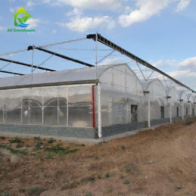 Quality OEM Agricultural PC Sheet Greenhouse for sale