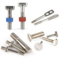 China China Manufacturing Fastener Customized Stainless Steel Special Bolt And Screw factory