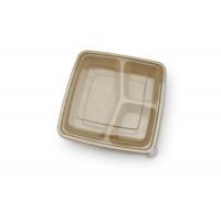China 9 inch Outdoors Takeaway Food Containers Disposable Lunch Biodegradable Container factory