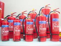 China Portable ABC ST12 Dry Powder Fire Extinguisher Fire Suppression System factory