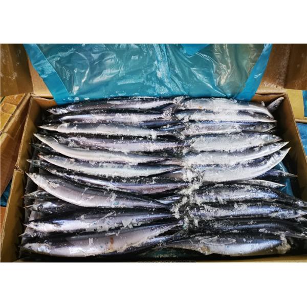Quality 3% Moisture Saury Fish 90g 100g Fresh Frozen Seafood for sale