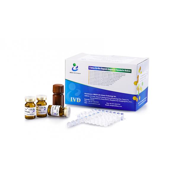 Quality LDH X Kit For Determination LDH-X Level Semen for sale