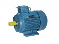 China YE3 Series Electric Motor / Three Phase Induction Motor With Cast Iron Frame factory