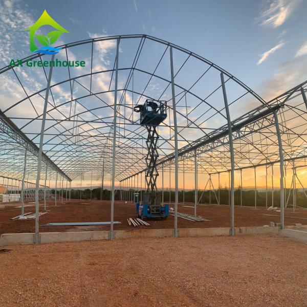 Quality Intelligent Film Serre Invernadero Greenhouse Multispan Tomato Greenhouse for sale