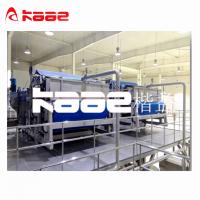 China Apple Pear Clear Apple Juice Production Line Cherry Juice Concentrated factory