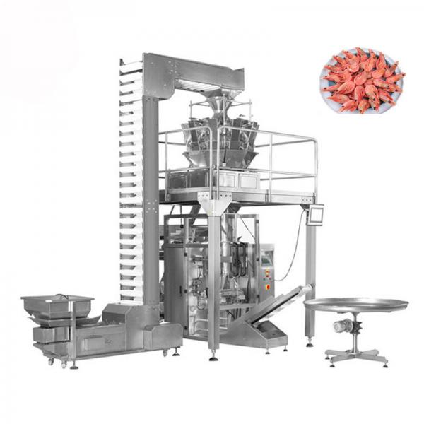 Quality Automatic Frozen Food Packing Machine for sale