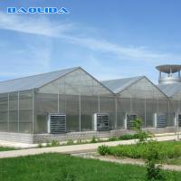 Quality Commercial Polycarbonate Sheet Greenhouse / PC Sheet Greenhouse Customized for sale