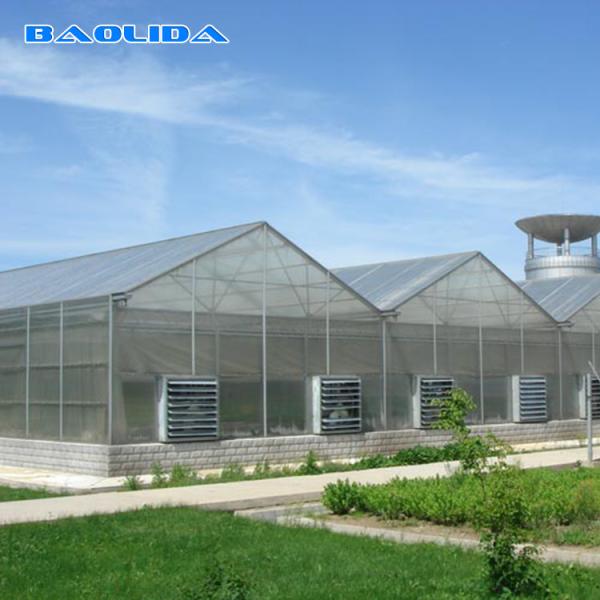 Quality Commercial Polycarbonate Sheet Greenhouse / PC Sheet Greenhouse Customized Material for sale