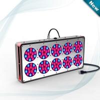 China Grow LED light high power with full spectrum 350W in horticulture factory