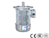 China high quality IP55 high efficient water pump three phase induction squirrel cage ventilation motoren with brake factory