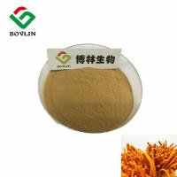 china HPLC Organic Cordyceps Militaris Extract Powder Solvent Extraction