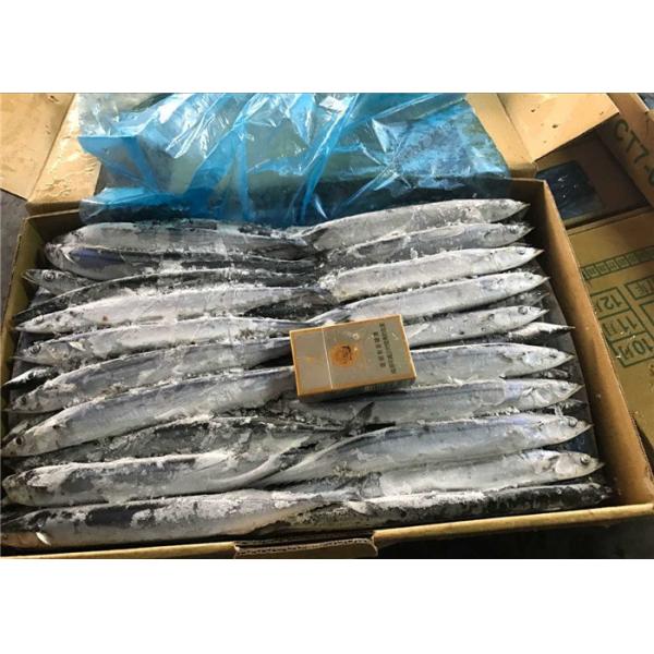 Quality 100% Net Weight BQF Seafrozen #4 Pacific Saury Fish for sale