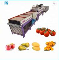 China Modern Apple Waxing Sorting Grading Fruit And Vegetable Washer Machine For Kiwi factory
