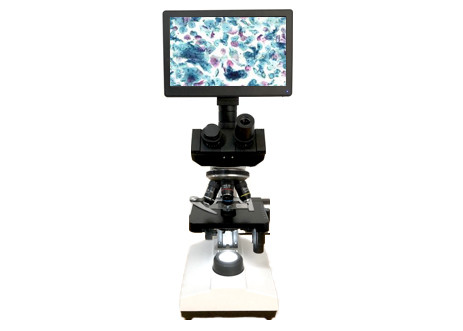 Quality LCD Screen Lab Biological Microscope 10X 40X 6V 20W Monocular Light Microscope for sale