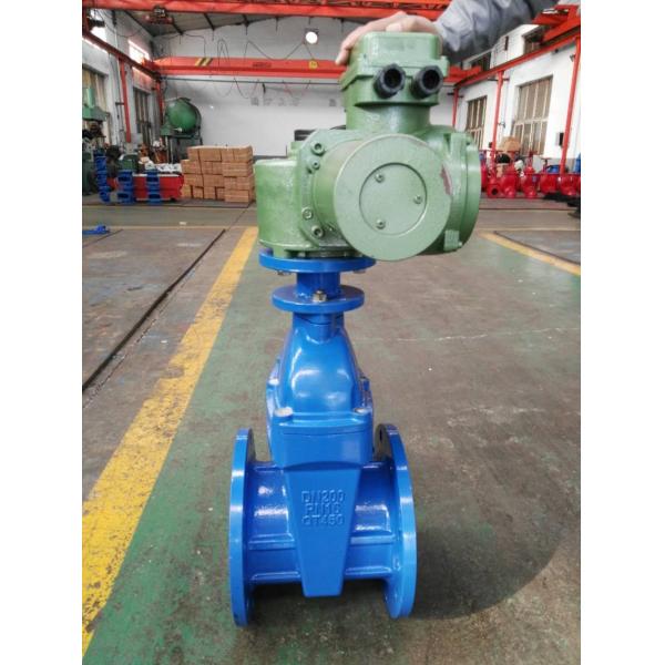 Quality Soft Seal Electric Gate Valve GGG50 DN600 Gate Valve Blue for sale