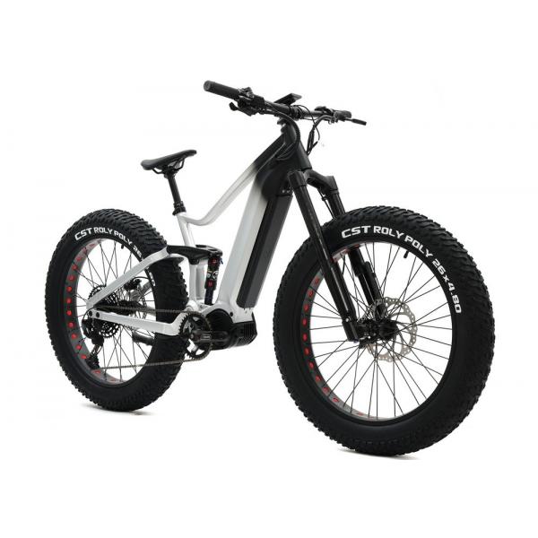 Quality Alloy Suspension Frame Fat Tire Bike , Pedal Assist Fat Bike Mid Drive Motor for sale