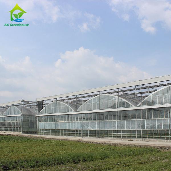Quality Heavy Duty Glass Hydroponic Nursery Greenhouse For Vegetables for sale