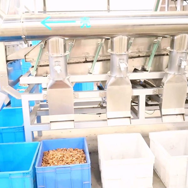 Quality CE Verified 380V Pecan Shelling Machine With High Perfect Kernel Rate for sale