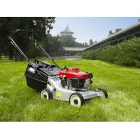China Grass Trimmer Garden Cutting Machine , 6.5HP 173CC Self Propelled Gas Lawn Mower factory
