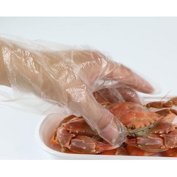 Quality Touchless Biodegradable PE disposable glove dispenser for sale