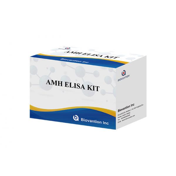 Quality Serum AMH Anti Mullerian Hormone Test Elisa Test Kit BIOVANTION for sale